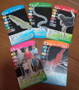考える生き物分類カード