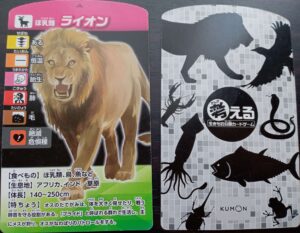 考える生き物分類カード