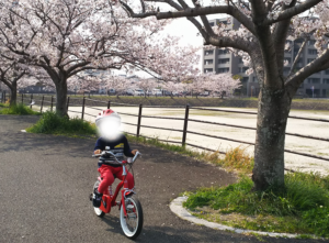ストライダー