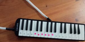 CAHAYA鍵盤ハーモニカ